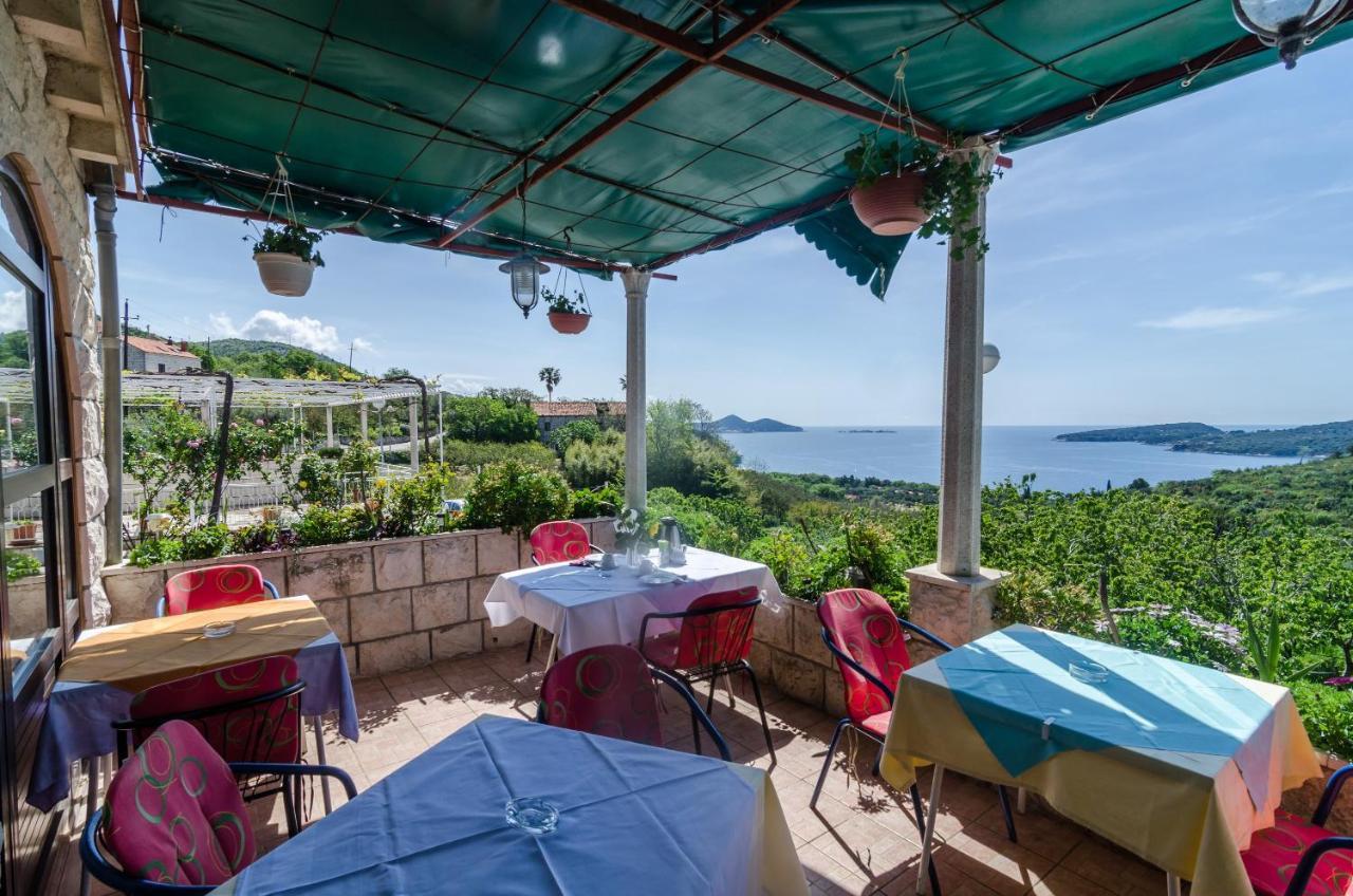 Guesthouse Moretic Orašac Extérieur photo