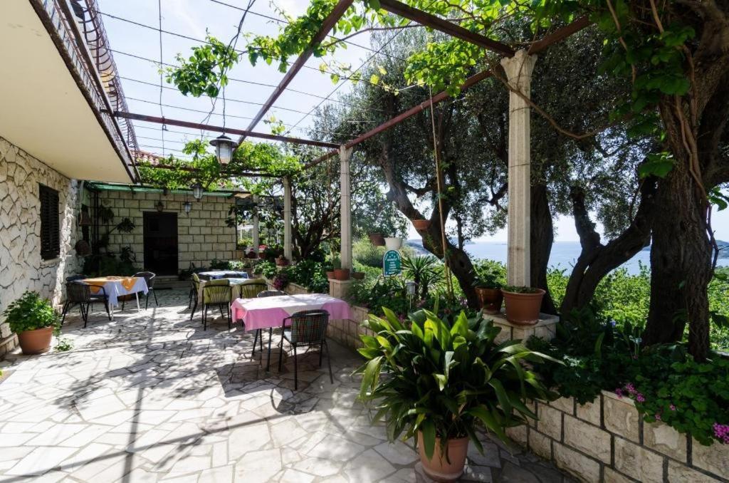 Guesthouse Moretic Orašac Chambre photo
