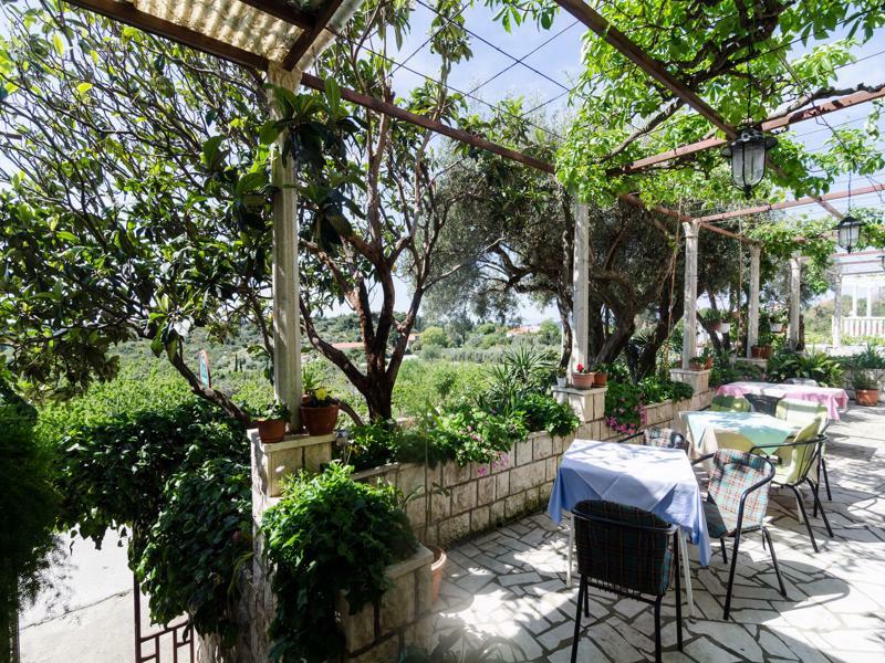 Guesthouse Moretic Orašac Extérieur photo
