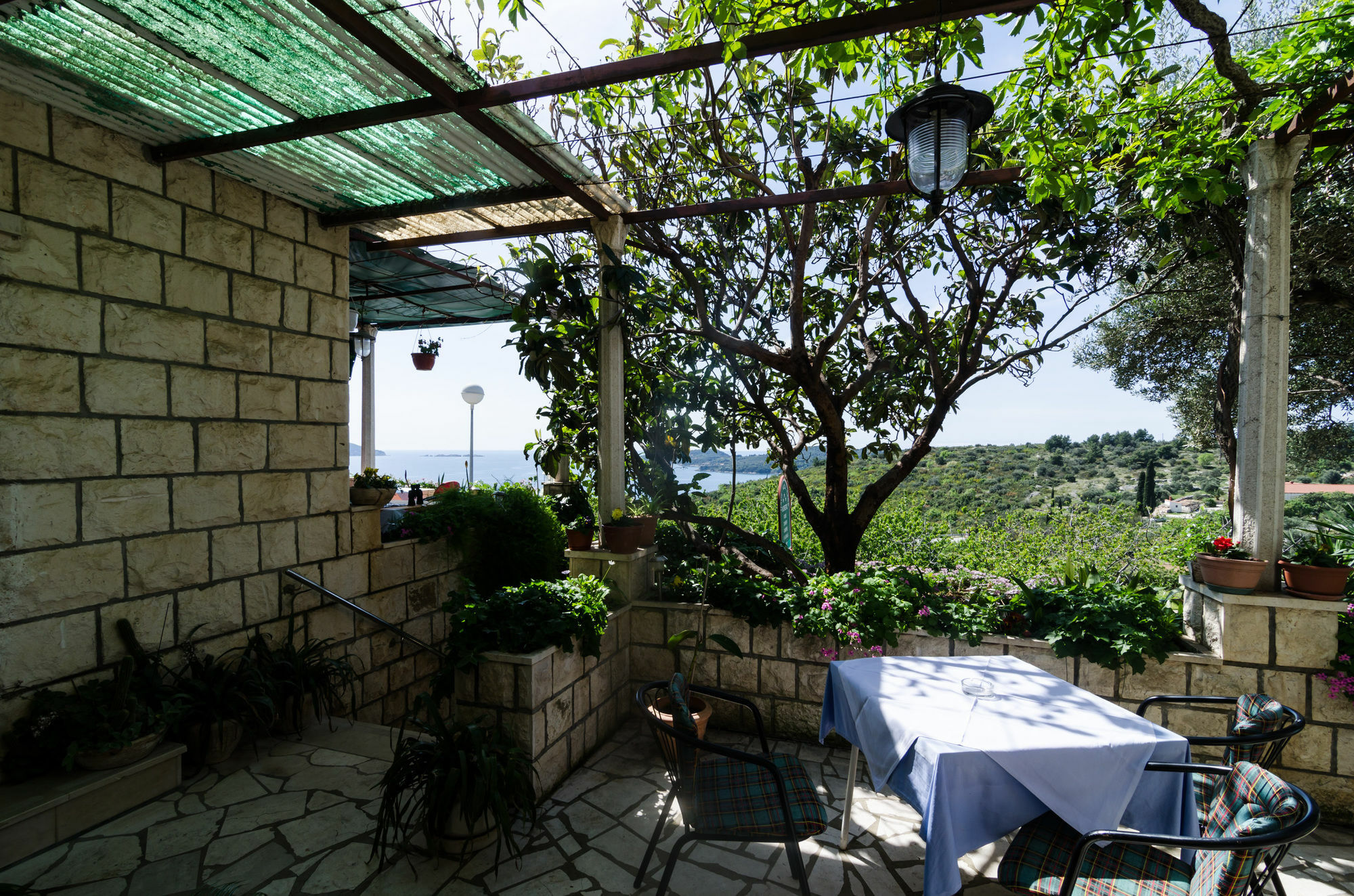 Guesthouse Moretic Orašac Extérieur photo